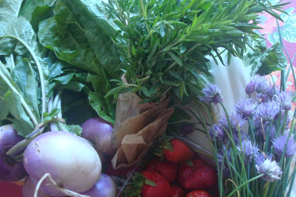 Mon butin du marché : légumes de printemps et un gros bouquet de sarriette fraîche