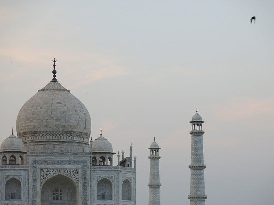 Le soir, à l'heure du coucher de soleil, nous avons rejoint le jardin Mehtab Bagh pour admirer le Taj Mahal depuis l'autre côté de la rivière Yamuna. Les oiseaux virevoltaient entre les minarets, c'était follement bucolique !