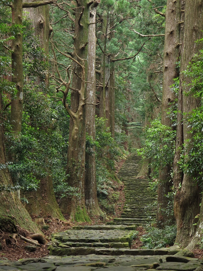Dans l'ombre des cèdres séculaires, la belle randonnée du Daimonzaka est baignée d'une lumière verte toute mystérieuse. De plus, le fait de grimper de nombreuses marches donne, une fois encore, l'impression de monter vers le sacré. Et bien sûr, de mériter la vue ;)